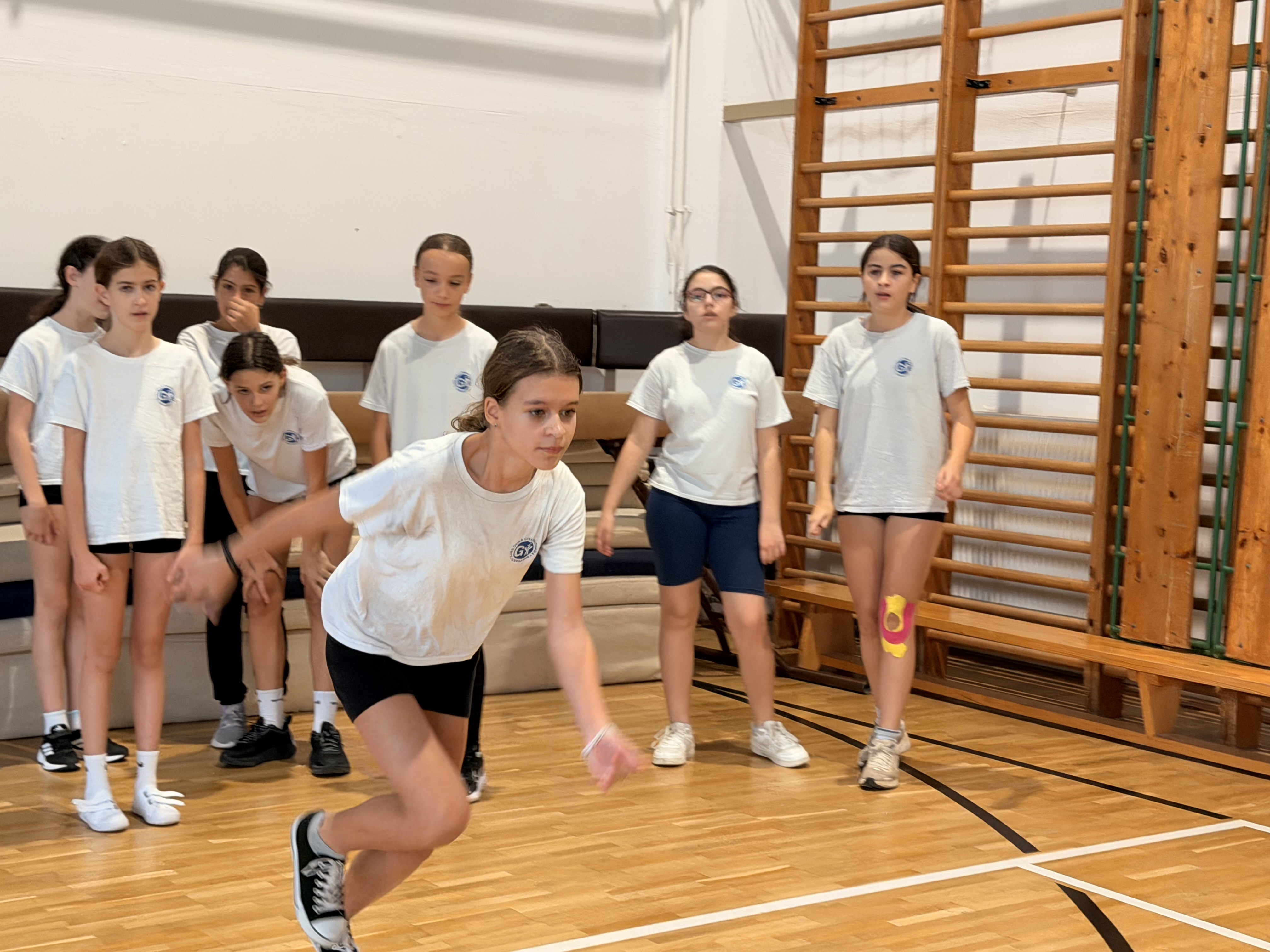 AliscaAktív Program