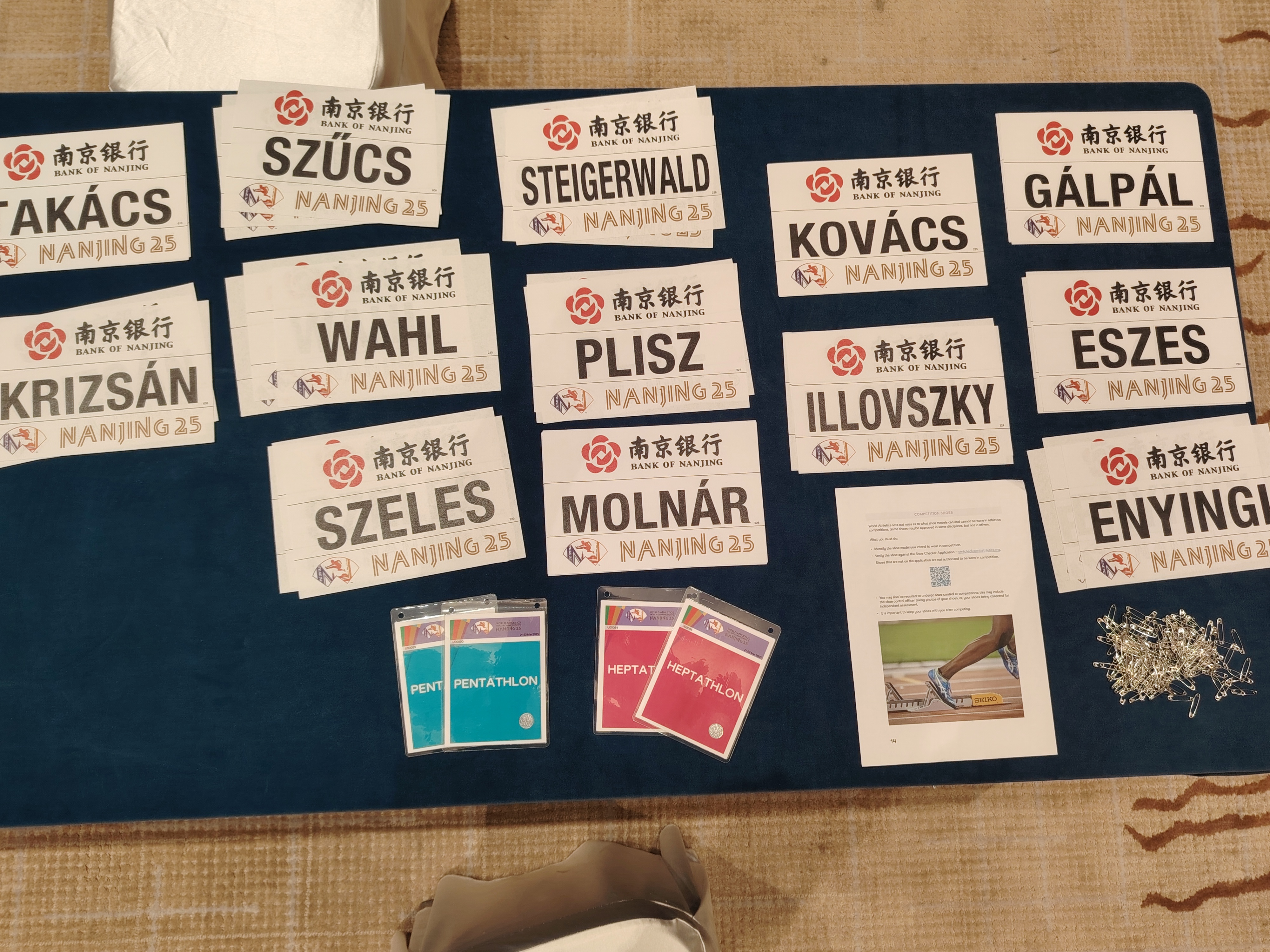 Fedettpályás VB 2025, Nanjing 